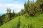 2014-07-05_Laengental-N-Hochweg (805). JPG
